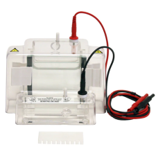 Gel Electrophoresis System, CVS Scientific